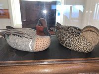 Two green-winged teal decoys side by side in acrylic case