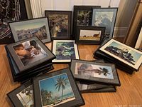Group of framed nature and animal photography prints arranged on floor including tropical beach, lions, horses, mountain, and canyon images.