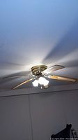 Ceiling fan with metal housing and wood blades installed on ceiling, lights turned on