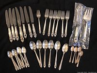 Full set arranged showing knives, forks, spoons, and sealed serving utensils