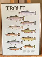 Framed trout chart by Maynard Reece with 10 illustrated trout species, placed on an easel against a wall, showing full view of artwork in metal frame.