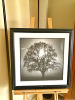 Front view of the framed black and white tree art print on an easel showing the full piece with minor visible scuff on frame.