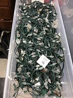 String of white pointed plastic bulb Christmas lights on green wiring in translucent plastic container.