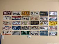 Overview of 30 plates mounted on wall in 6 columns of 5 rows