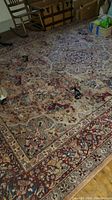 Full view of area rug showing overall pattern and border
