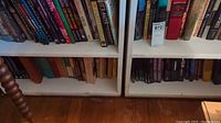Bookshelves with assorted novels and literary books shown from front, various sizes and editions, some with visible spine titles including "It’s Alive".