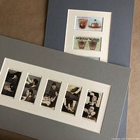 Mounted set of 5 Wills 1923 gardening hint cards with blue-grey double mat, cards arranged vertically.