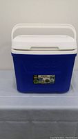 Front view of the blue and white Igloo cooler with label showing 26L capacity and lid handle.