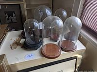 Seven glass dome displays of varying sizes and base styles arranged on a white table with tags attached to some. Domes are transparent and bases are mostly wood, with at least one black base.