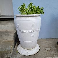 Frontal view of large white concrete urn on round stand with succulents showing detail of urn's shape, markings, and plants.