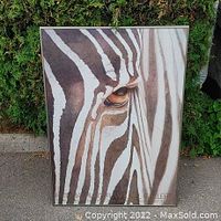 Photo of framed art poster showing a close-up of a zebra's eye and stripes.