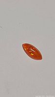 Close-up image of a marquis cabochon cut deep orange fire opal on white background showing some reflected flashes.