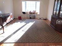 Full view of the large area rug in a room with sunlight and surrounding furniture.