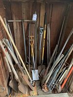 Lot overview showing many long handled gardening tools leaning against a wall inside a wooden shed. Several shovels, rakes, and digging tools are visible with rusted metal and wooden handles.