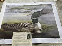 Limited edition print of The Call by Troy Rodrigues showing a loon on a lake with a rocky misty background. Print is slightly worn with creases and corner curl.