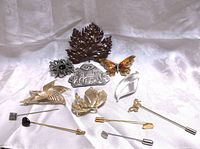 Full view of 10 brooches and stick pins on white fabric, showing various designs including leaf, butterfly, floral, Native American motif and abstract motifs.