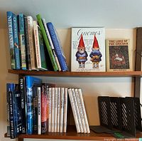 Books arranged on two wooden shelves, with visible titles and four metal bookends on lower shelf.
