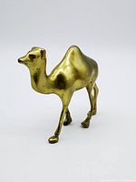 Side front view of vintage solid brass camel figurine showing polished golden metal surface, detailed hump and legs.