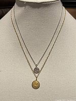 Two necklaces displayed on a fabric bust, showing silver chain with silver pendant and gold-toned pendant