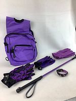Full set including the purple riding crop, saddle bag, three pairs of gloves, and bracelet arranged on white background.