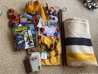 Wide view of all items in the lot showing clothing, books, a blanket, and various small items spread on a beige carpet.