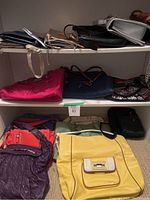 Shelf containing multiple purses of assorted colors, sizes, and styles including totes and clutches.