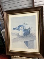 Framed print of gulls resting on a nest signed by Robert White in an antique gold and brown frame with cream matting.