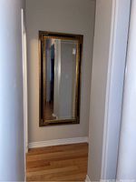 Full view of the large rectangular mirror mounted on a wall in a narrow hallway with hardwood floor.