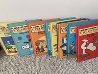 Front view of all 15 Charlie Brown's Cyclopedia books arranged in a row on carpet, showing colorful cover illustrations with Peanuts characters.