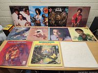 Full overview of all eleven vinyl albums arranged in two rows, showing front covers, with a few identifiable artist names visible.