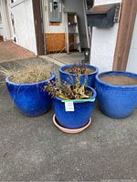 Four large blue pots, three large and one slightly smaller. Pots contain dried plants and soil. Visible crack on largest pot.