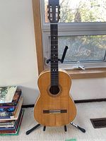 Front view of guitar on stand showing body shape, finish, rosette and minor chip in lower bout binding