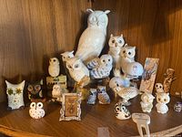 Collection of various owl figurines displayed on a wooden shelf including large white ceramic owl and many smaller owls of different styles, colors, and sizes