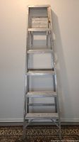 Front view of the tall aluminum ladder showing all rungs and the top paint can shelf folded up.