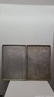 Two rectangular stainless steel trays side by side. Trays have raised edges and visible surface wear.