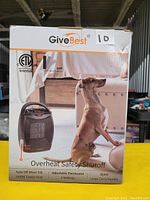 Photo of the boxed GiveBest space heater showing front packaging with product image and features