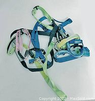 Photo showing assorted LED dog harnesses and collars in various colors, spread out on a flat surface.