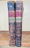 Two leather-bound volumes spine view, with red and green title labels and gold decoration, edge wear visible.