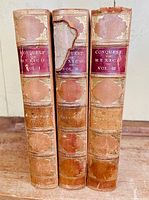 Spine view of the three volumes showing half leather binding with marbled paper, red title labels, and wear on volume two.