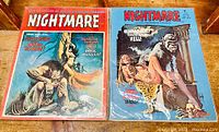 Two "Nightmare" horror magazines in bagged and boarded condition, showing front covers and back arrangement.