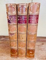 Three leather and marbled paper bound volumes standing vertically with gilt detailing and titles on spine, showing moderate wear and water marks.