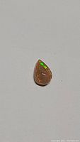 Photo of the untreated chocolate black opal pear-shaped cabochon gemstone showing green fire on brown body tone.