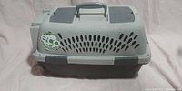Full view of the small pet travel crate showing handle, ventilation holes and structural components