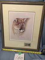 Framed lithography of a cougar with measuring tape for scale, showing overall framed size.