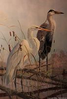 Photo showing detailed print of three water birds (two white and one grey heron) among reeds and wetland plants.