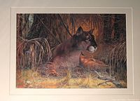 Photo showing a detailed limited edition print of a Florida panther resting in a wooded area with foliage. The animal is depicted realistically with rich browns and natural background colors.