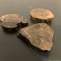 Three natural wood stands with unique shapes placed on a dark surface, showing wood grain and rings.