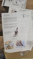 Instruction sheet showing detailed pro tips for installing and handling the lighting fixture