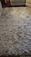 Full view of beige shag area rug on floor showing texture and size relative to furniture