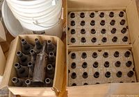 Three cardboard boxes each containing multiple brown glass beer bottles in new condition. Two boxes have 24 bottles each and one box partially visible with multiple bottles.